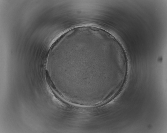 X0000111621001200907311158