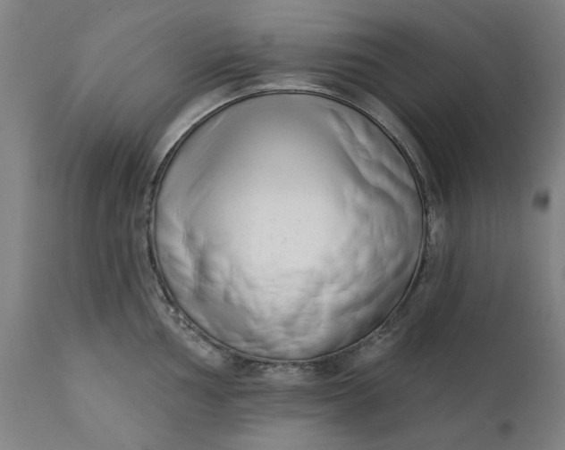 X0000111621002200907311158