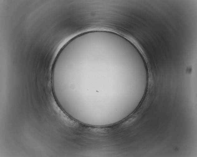 X0000111621004200907311158