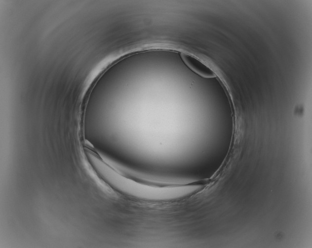 X0000111621005200907311158
