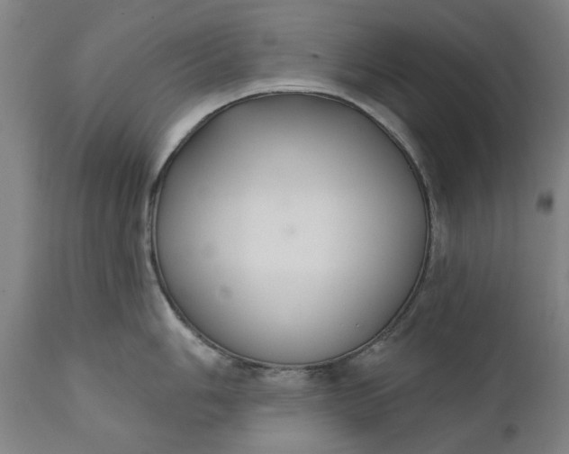 X0000111621006200907311158