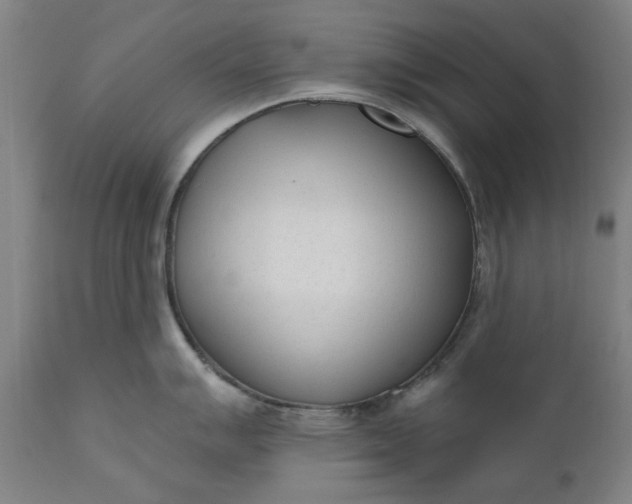 X0000111621007200907311158