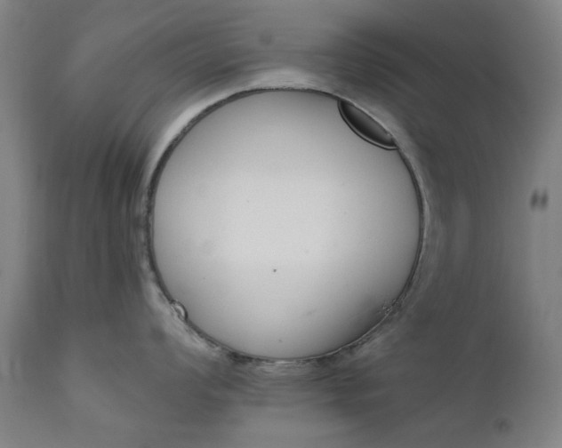 X0000111621008200907311158