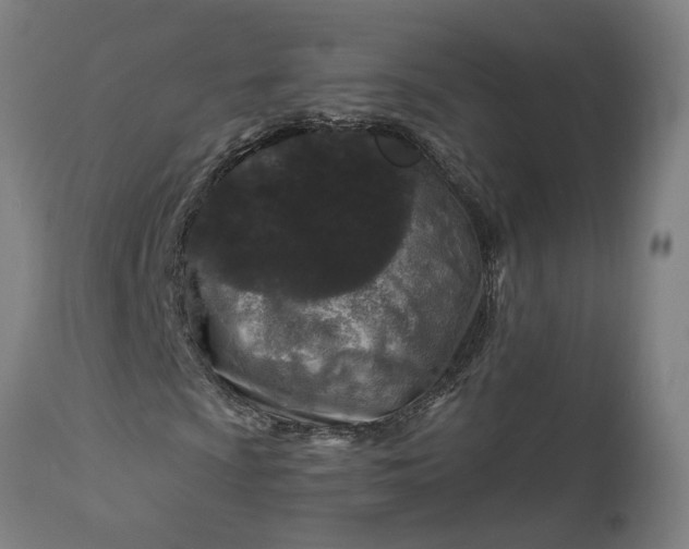 X0000111621009200907311157