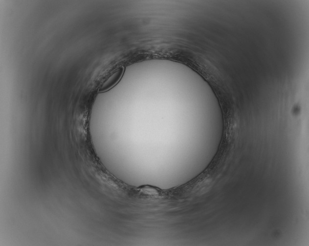 X0000111621010200907311157