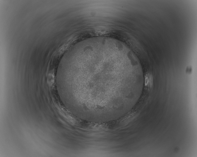 X0000111621011200907311157