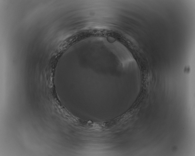 X0000111621013200907311157