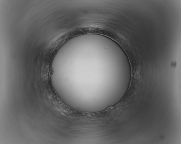 X0000111621014200907311157