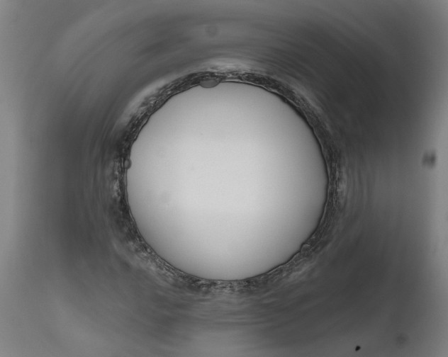 X0000111621016200907311157
