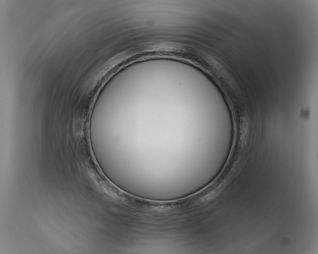 X0000111621017200907311157