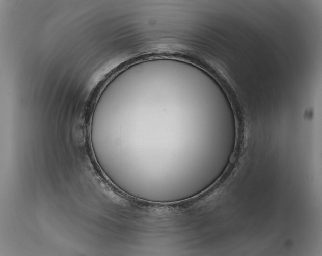 X0000111621018200907311157