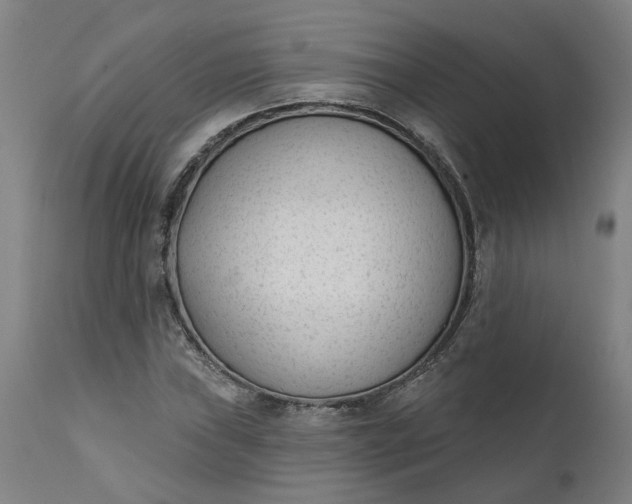 X0000111621019200907311157