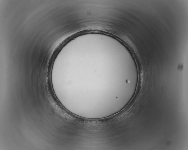 X0000111621020200907311157