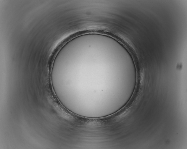 X0000111621021200907311158
