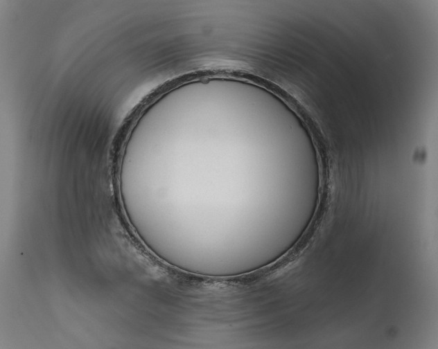 X0000111621022200907311158