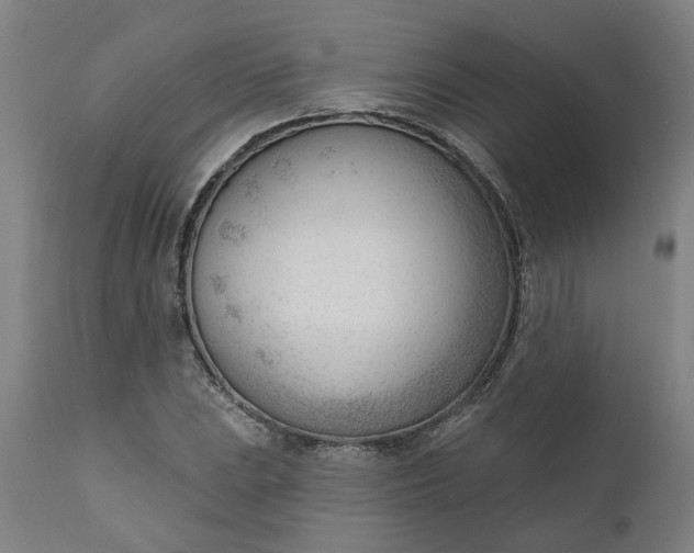 X0000111621023200907311158