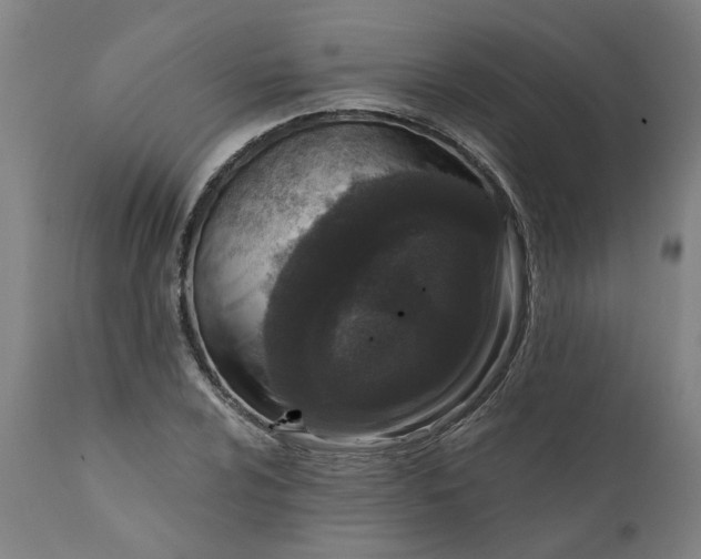 X0000111621024200907311158