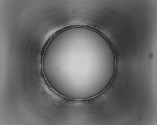 X0000111621030200907311158