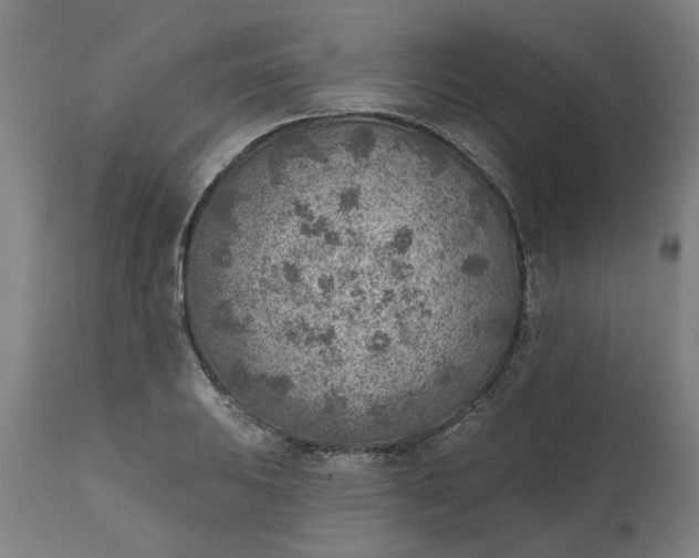 X0000111621031200907311158