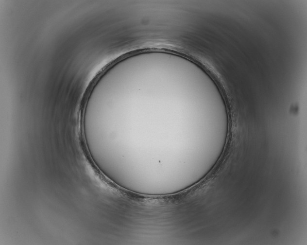X0000111621032200907311158