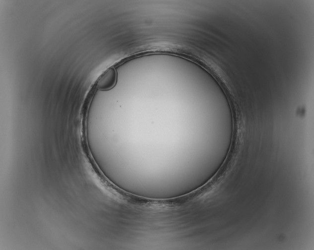 X0000111621034200907311158