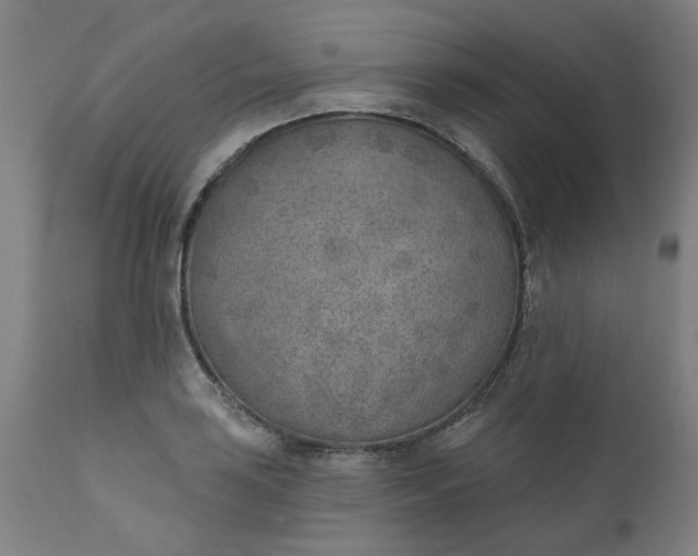 X0000111621035200907311158