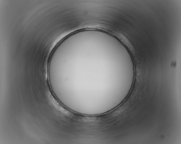 X0000111621036200907311158