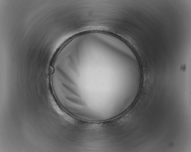X0000111621038200907311158
