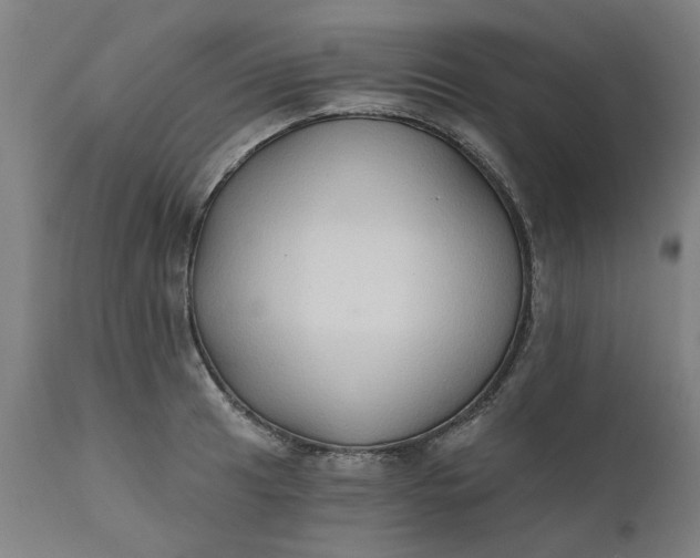 X0000111621041200907311158