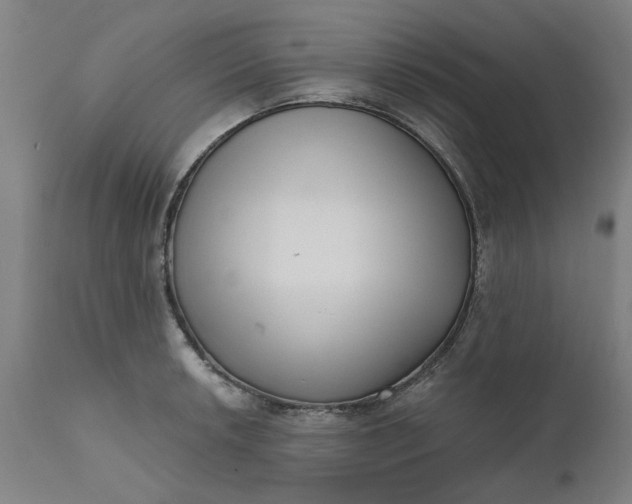 X0000111621042200907311158
