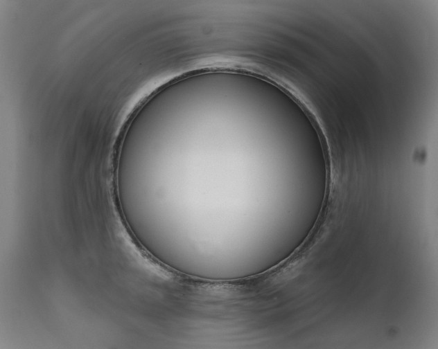 X0000111621045200907311158