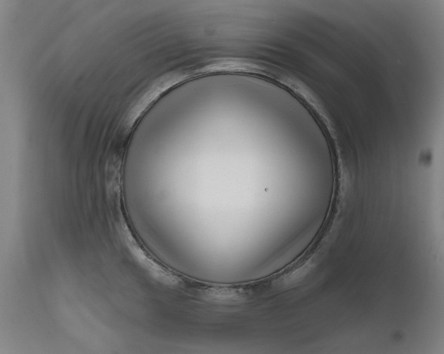 X0000111621049200907311158