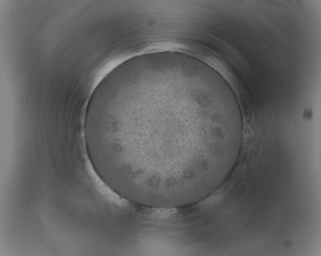 X0000111621055200907311158