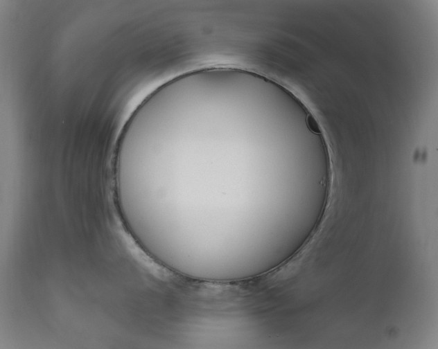 X0000111621056200907311158