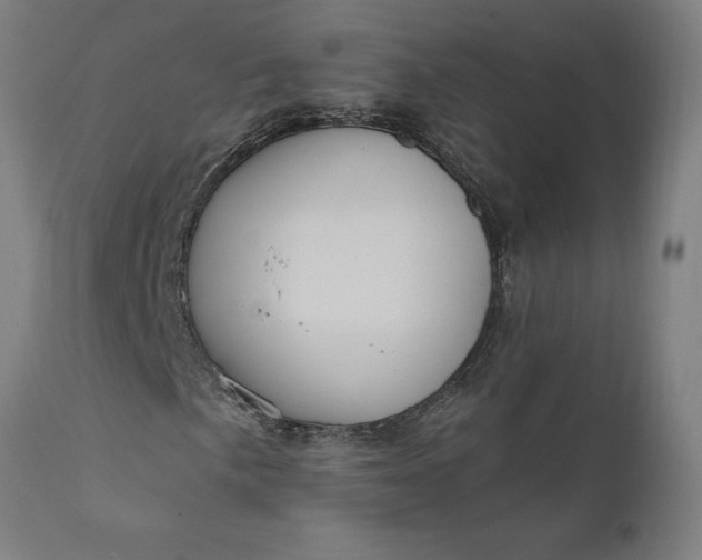 X0000111621057200907311157