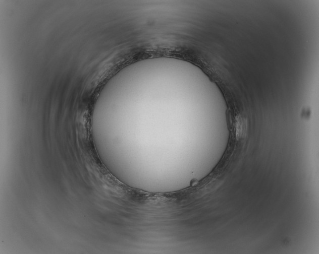 X0000111621059200907311157