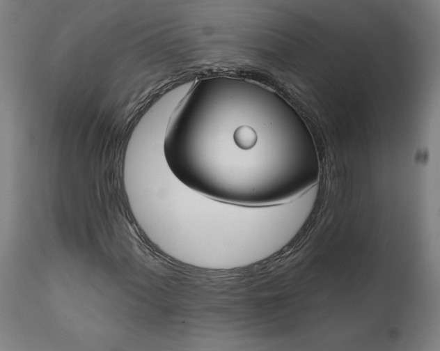 X0000111621060200907311157