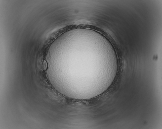X0000111621063200907311157