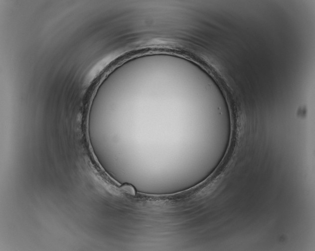 X0000111621066200907311157