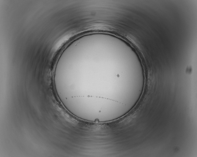 X0000111621067200907311157