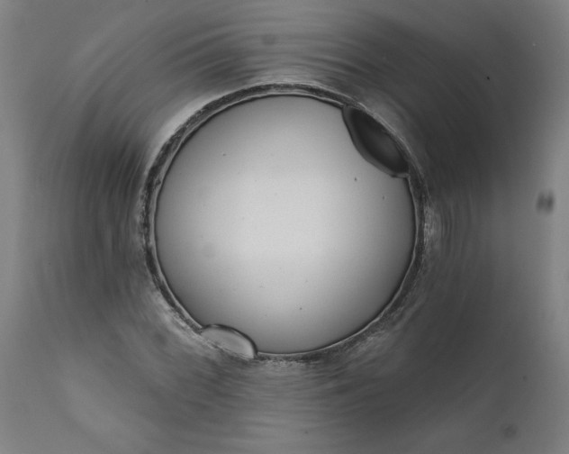 X0000111621068200907311157