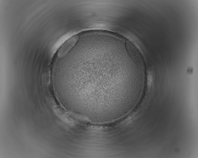 X0000111621069200907311157