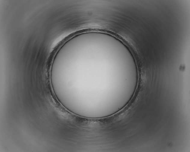 X0000111621070200907311157