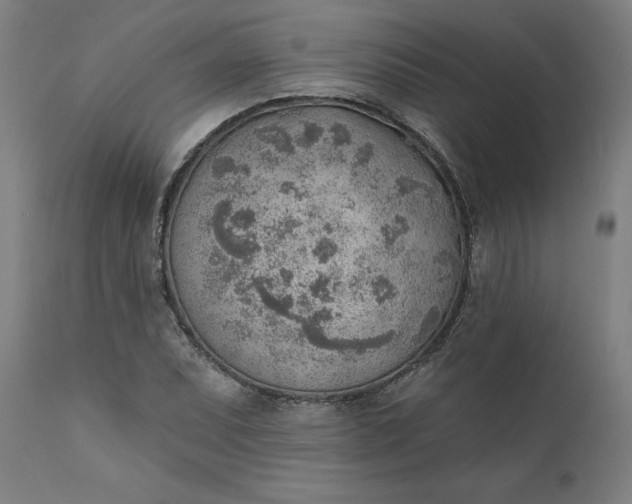 X0000111621071200907311157