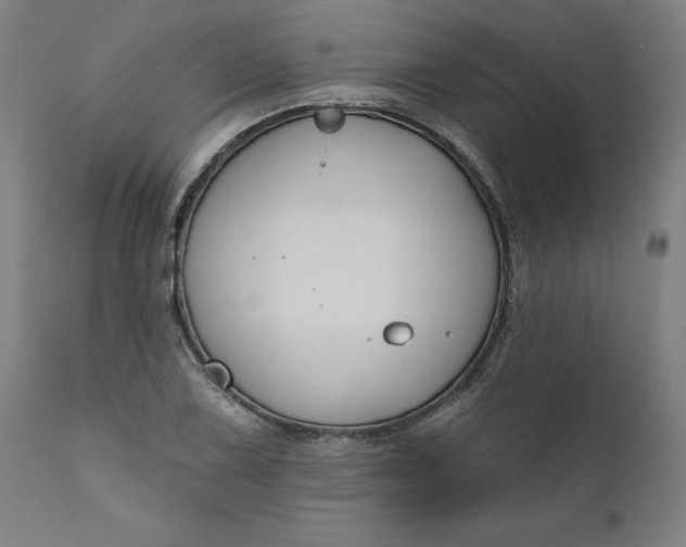 X0000111621075200907311157