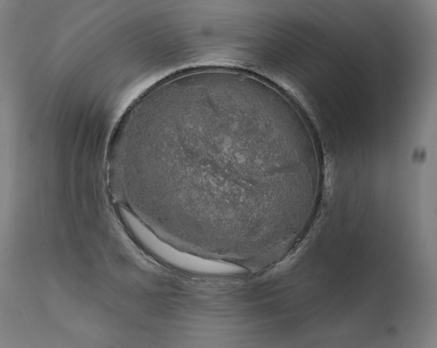 X0000111621077200907311157