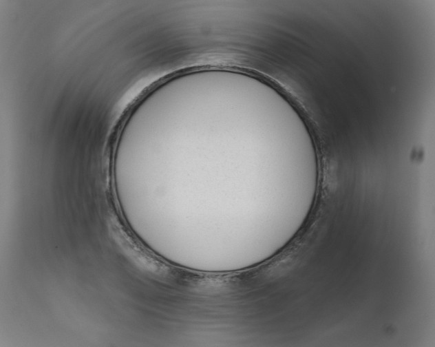 X0000111621078200907311157