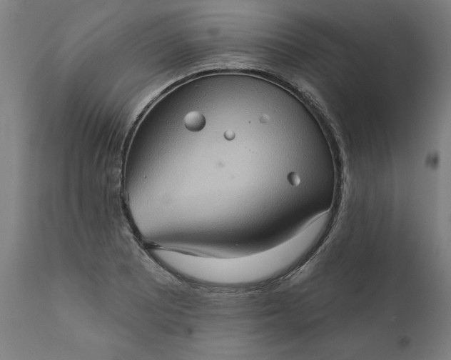 X0000111621081200907311157