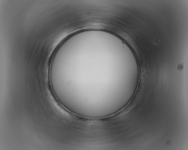 X0000111621083200907311157