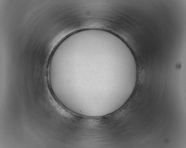 X0000111621086200907311157